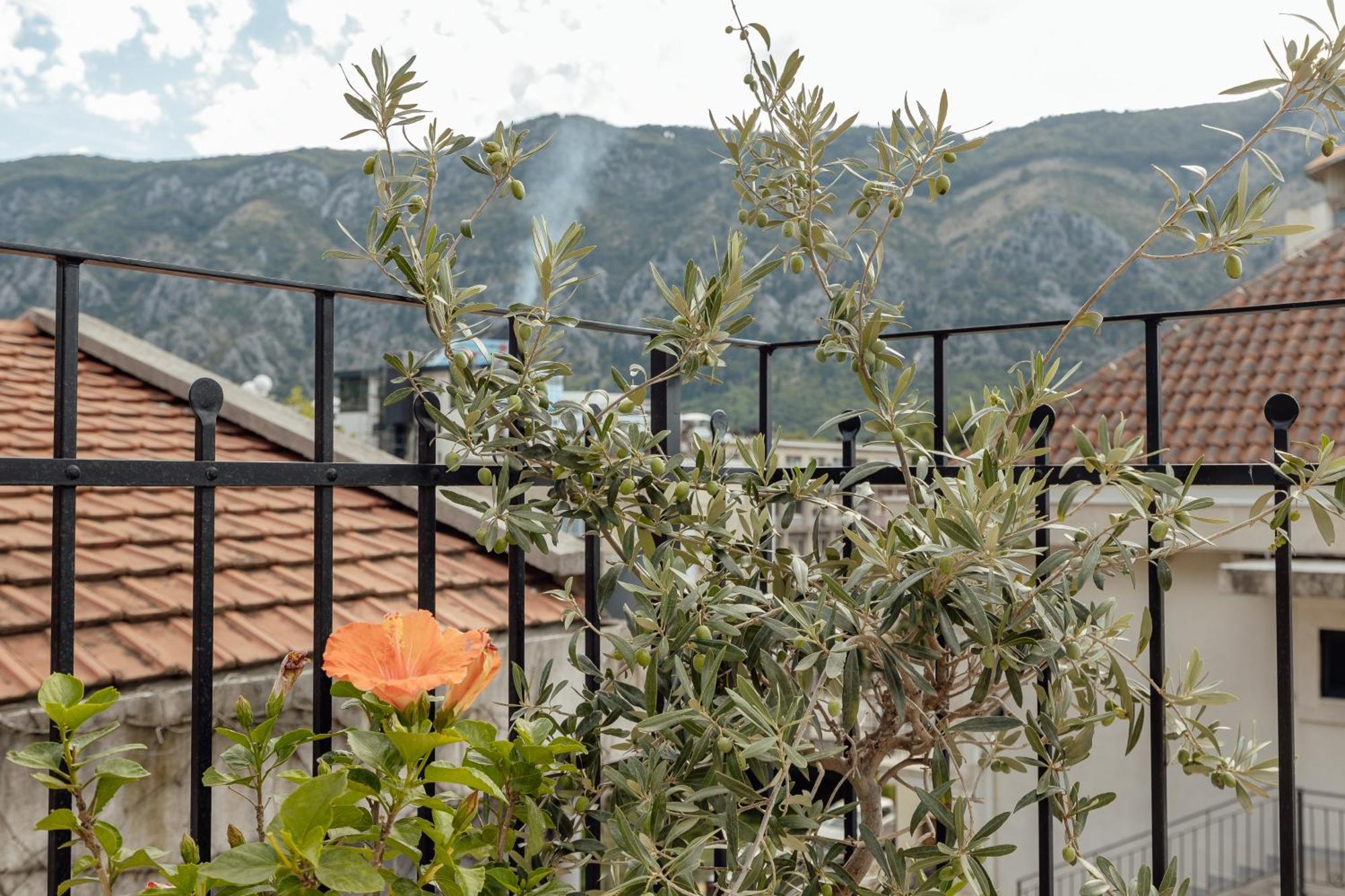 Kotor Central Point Zewnętrze zdjęcie